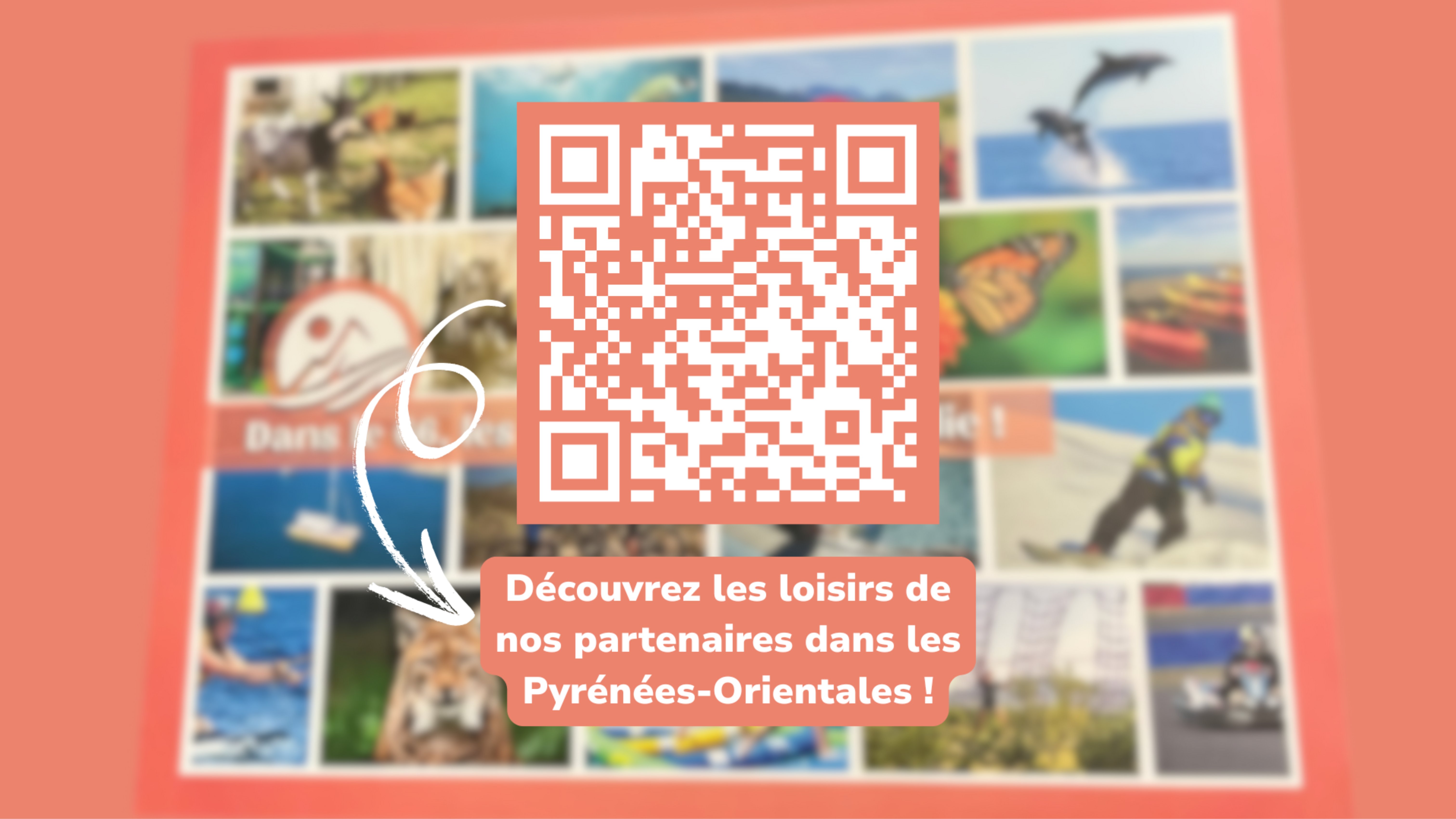 Partenaires Pyrénées-Orientales