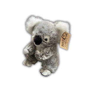 Peluche natural world - Koala